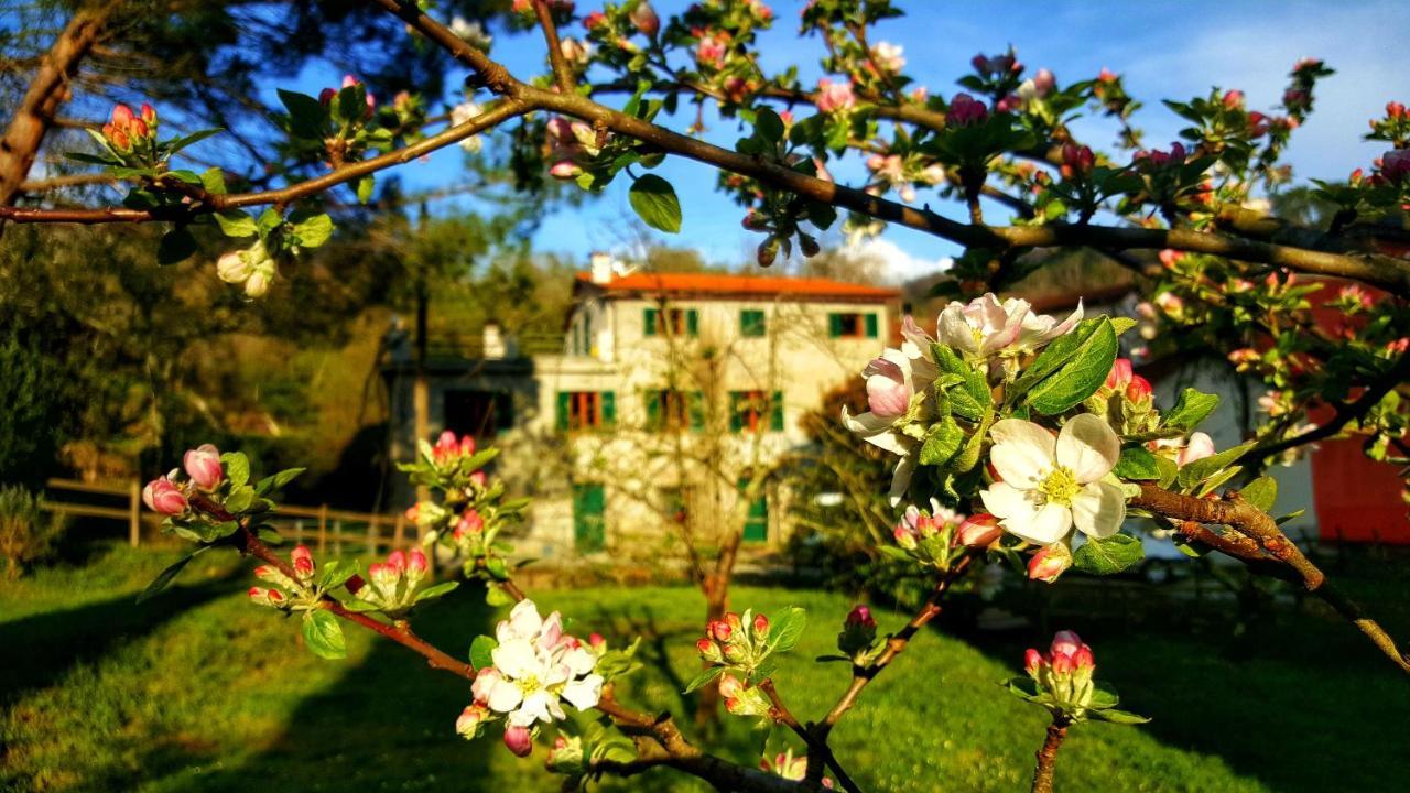 B&B Tre Ponti Castiglione Chiavarese Exterior foto